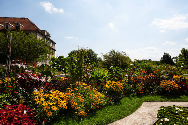 botanical garden in munich, blue sky, landscape - Zdjęcie, obraz