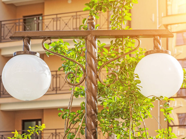 Podwójna dekoracyjna lampa uliczna w zielonych krzakach przed balkonami nowego domu mieszkalnego. Wybiórcze skupienie. Zdjęcie z bliska - Zdjęcie, obraz