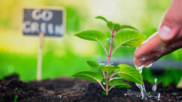 Cropped view of gardener pouring water on plant in soil in blurred garden  - Foto, Imagem