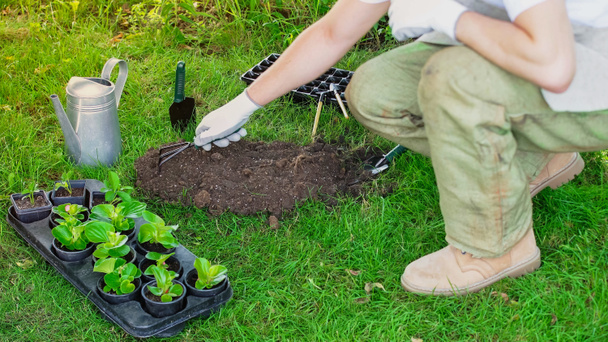 Cropped view of gardener holding rake near soil and plants in garden  - Foto, Imagem