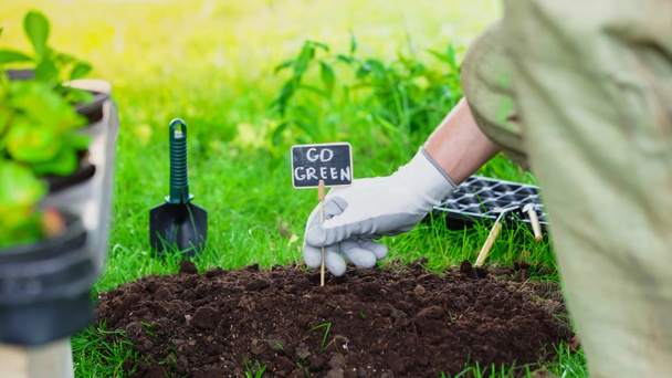 Cropped view of gardener putting board with go green lettering in soil near tools and plants in garden  - Foto, Imagen