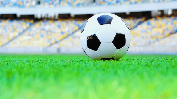 leather soccer ball on green fresh grass at stadium  - Foto, Imagem