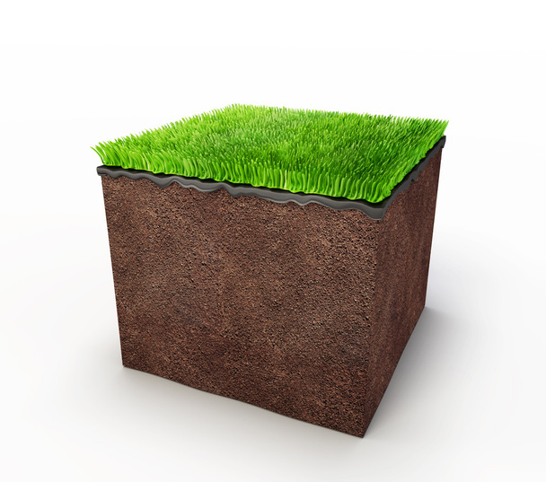 Green grass concept - Fotoğraf, Görsel