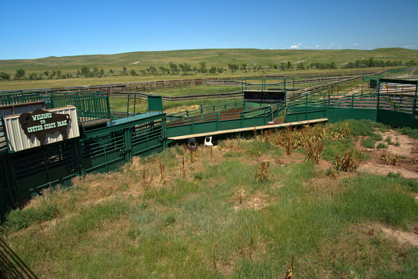 Custer State Park Bison corrals, κάθε φθινόπωρο η συγκέντρωση των Bison 's γίνεται για εμβολιασμούς και επιθεώρηση, όπου κάποιοι πωλούνται.. - Φωτογραφία, εικόνα