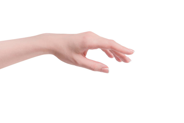 Γυναικεία χέρια με γαλλικό μανικιούρ που απομονώνονται σε ένα λευκό bacckground. - Φωτογραφία, εικόνα