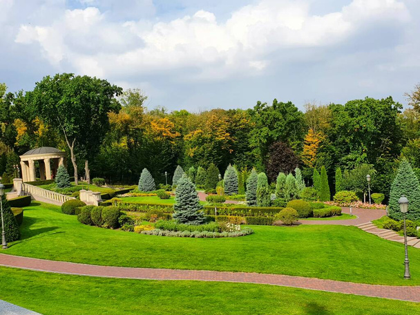 beautiful garden in the park with trees - 写真・画像