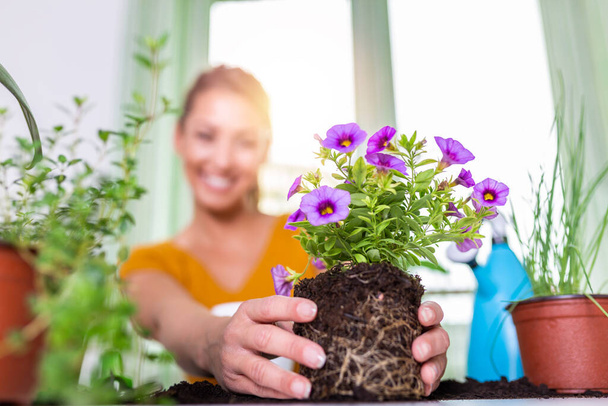 Lovely housewife with flower in pot and gardening set. Work at home. Planting a flower and spring cleaning. The housewife changes ground for a plant. Care for a potted plant - Foto, Imagem