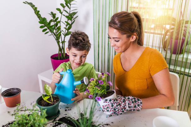 Family mother and son grow flowers, transplant seedlings in the gardeners. Lovely mother with her boy taking care of flower in pot and gardening set. Care for a potted plant - Fotó, kép