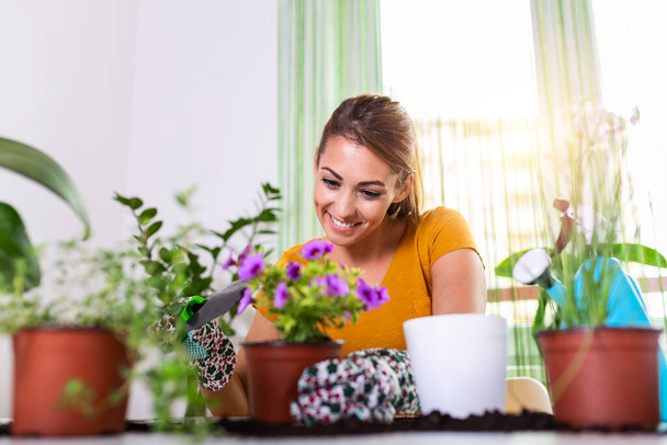 Work in the garden, planting pots. Woman gardening in pots. Plant care. Gardening is more than hobby.Lovely housewife with flower in pot and gardening set. Planting home plants indoors - Fotoğraf, Görsel