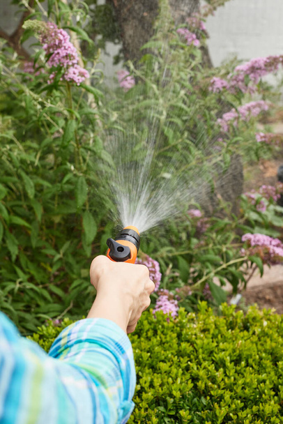 woman watering flower in the garden in summer - Foto, Imagen