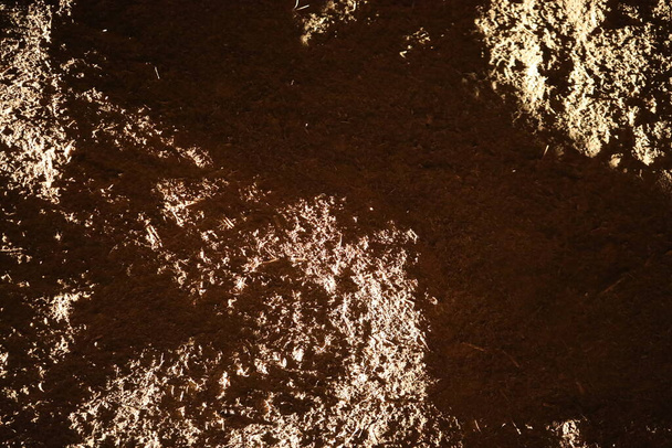 Mud Texture at Rural area - Photo, Image