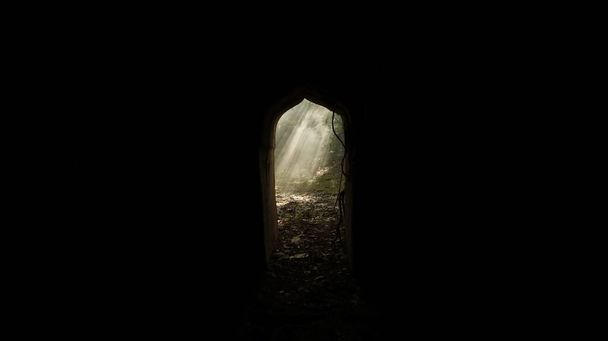 Smoke at abandoned door Forest - 写真・画像
