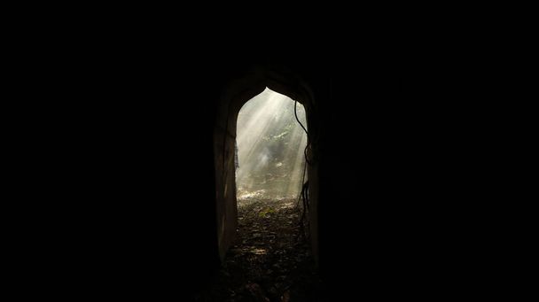 Smoke at abandoned door Forest - Foto, imagen