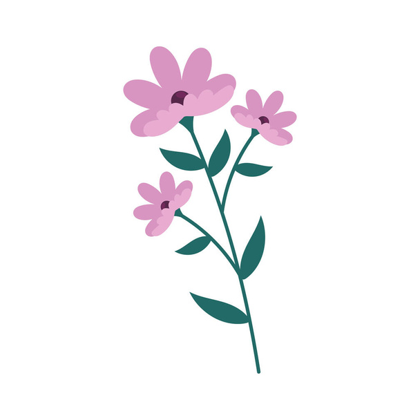 lilac flowers garden decorative nature icon - Vector, afbeelding