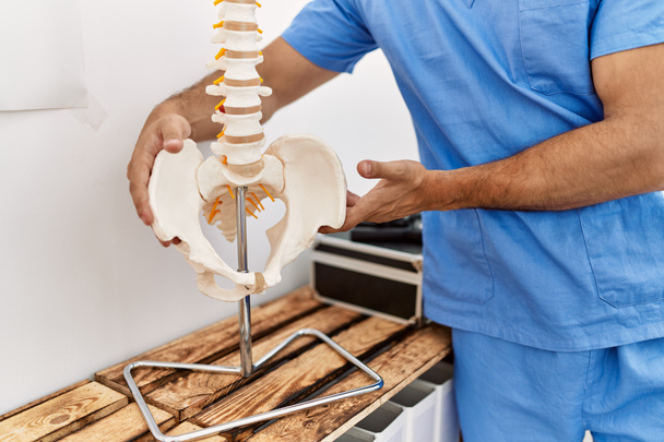 Young hispanic man wearing physio therapist uniform holding anatomical model of vertebral column at clinic - Фото, изображение