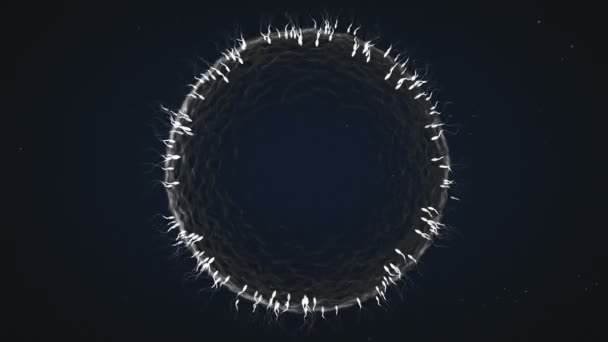 Sperm Race to Human Egg in a 3D animation - Materiaali, video