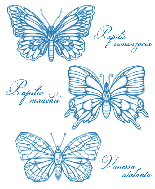 Blauwe vlinders aquarel Contour tekening imitatie - Vector, afbeelding
