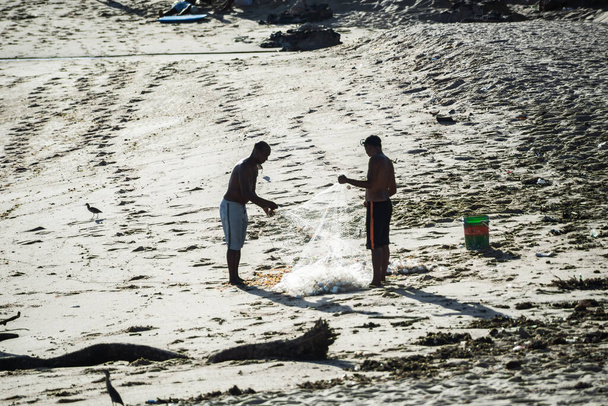 Сальвадор (Баїя, Бразилія) - 01 листопада 2021 року: два рибалки збирають рибальську сітку з рибою на пляжі Ріо - Вермельйо (Сальвадор, Баїя).. - Фото, зображення
