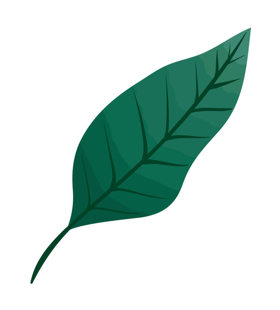leave green plant foliage icon - Vektor, obrázek