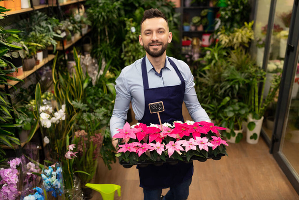 портрет співробітника квіткового магазину з ідеальними маленькими червоними квітами в руках. - Фото, зображення