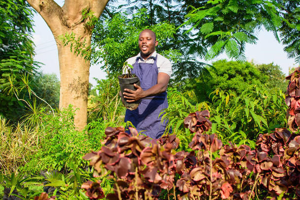 Usmívající se africká zahradnice, květinář nebo zahradník v zástěře a klobouku, drží pytel s rostlinou, zatímco pracuje v zelené a barevné květinové zahradě - Fotografie, Obrázek