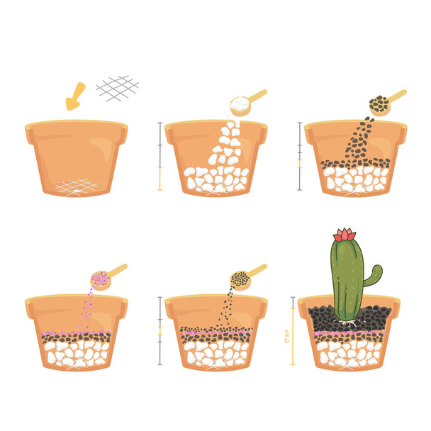 učit kroky kaktusu zasazené v květináčích s barevným štěrkem v bočním pohledu řezané v polovině odhalit složení půdy - Vektor, obrázek