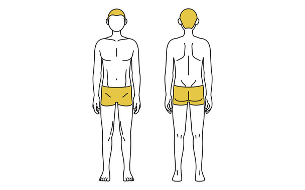 Einfache Strichzeichnung, Vorder- und Rückansicht eines Mannes in Unterwäsche, Boxershort - Vektor, Bild
