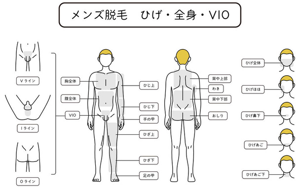 Men's Hair Removal, Beard, Whole Body, VIO Area Guide, Naked Figure - Translation: V-line, I-line, O-line, Whole Chest, Whole Belly, Upper Elbow, Lower Elbow, Back of Hand, Upper Knee, Lower Knee, Back of Leg, Upper Back, Armpit, Lower Back, Hips, Wh - Vector, Imagen