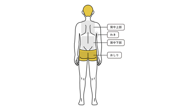Men's hair removal, full body (back) area guide, underwear - Translation: upper back, armpits, lower back, buttocks - Vector, Image