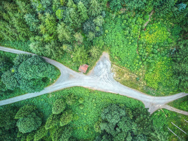 Forest crossroads and trees from above in Tollymore forest, County Down, Ireland - 写真・画像