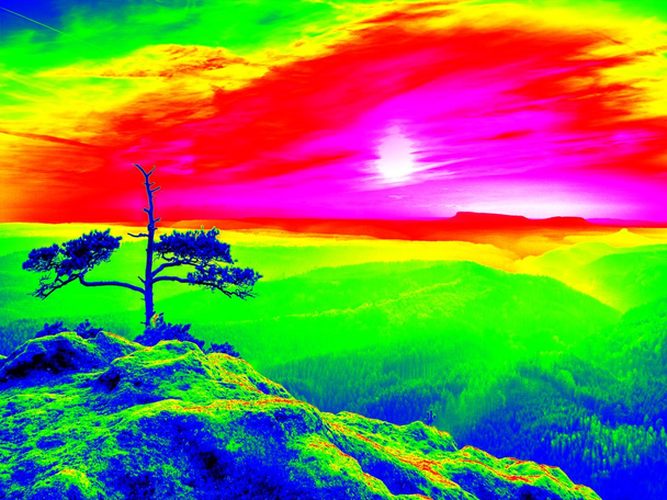 Фантастичне інфрачервоне сканування скелястого ландшафту, сосновий ліс з барвистим туманом
 - Фото, зображення
