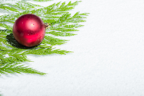 Bola roja de Navidad en cedro
 - Foto, Imagen