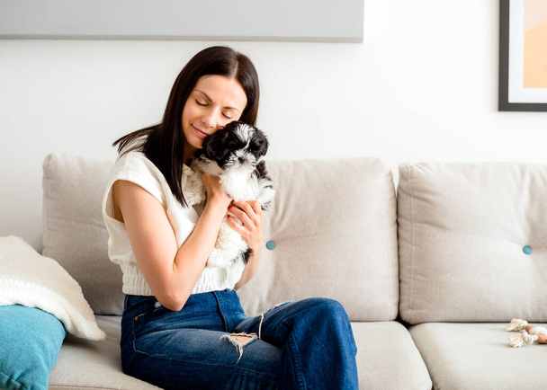 Young beautiful woman hugging and gently strokes a shih tzu dog puppy. Animals pets and human friendship - Zdjęcie, obraz