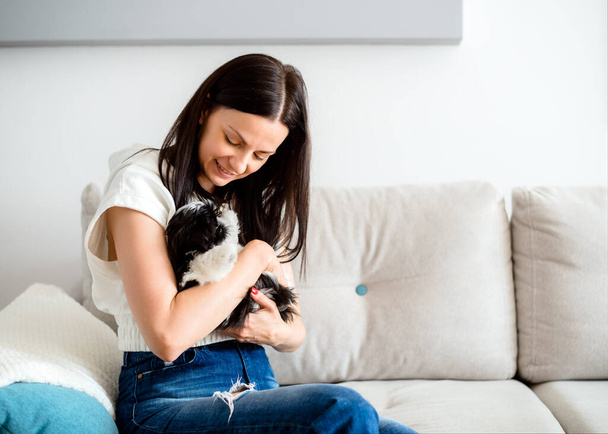 Young beautiful woman hugging and gently strokes a shih tzu dog puppy. Animals pets and human friendship - 写真・画像