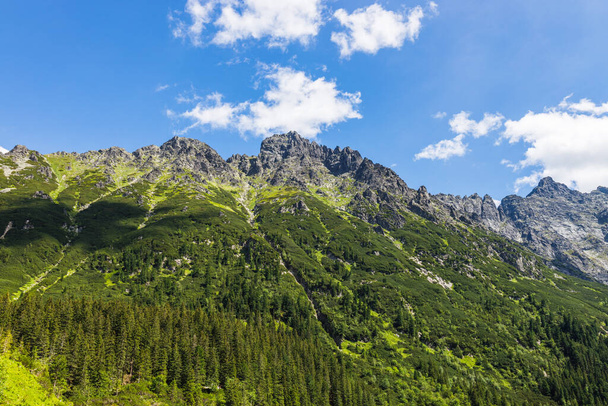 Beautiful view of High Tatras mountains near Zakopane. - Foto, Imagen