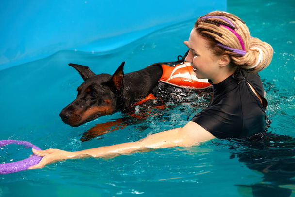 Dog in life jacket swim in the swimming pool with coach. Pet rehabilitation. Recovery training prevention for hydrotherapy. Pet health care. - Foto, Imagen