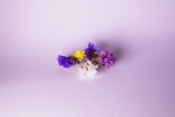 barevné květy na bílém pozadí - Fotografie, Obrázek