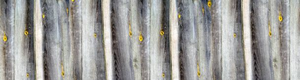 Struktura dřeva. nepotažená dřevěná svislá deska s uzly. Nápis pro vložení do webu. - Fotografie, Obrázek