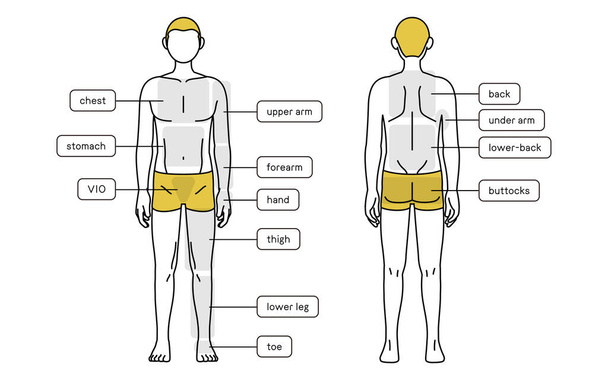 Men's hair removal, full body (front and back) body contouring, underwear - Vector, imagen