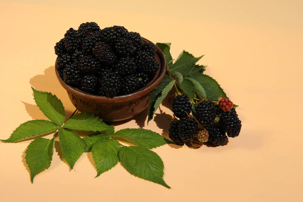 fresh blackberry on pink background with copy space - Φωτογραφία, εικόνα