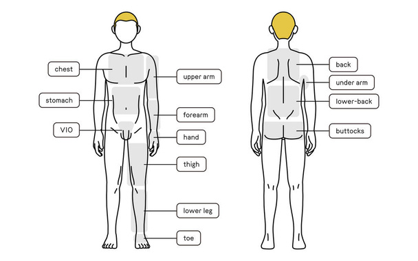 Men's hair removal, full body (front and back), nude - Vector, Image
