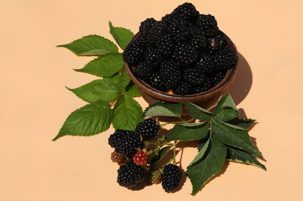 fresh blackberry on pink background with copy space - Foto, Imagem