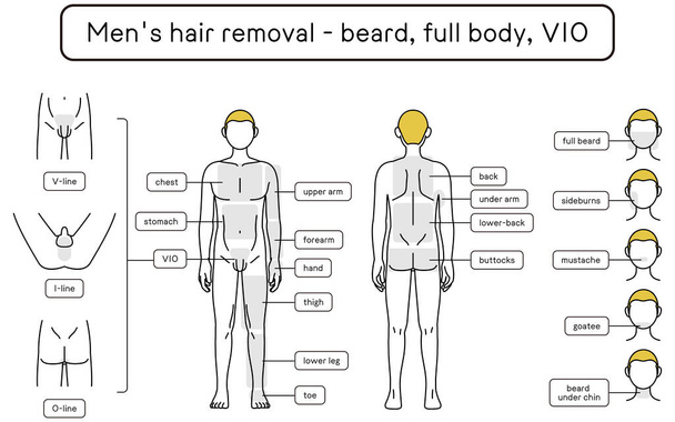 Men's Hair Removal, Beard, Whole Body, VIO Area Guide, Naked Figure - Vector, Image