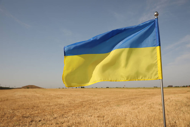 National flag of Ukraine in wheat field against blue sky, closeup - 写真・画像