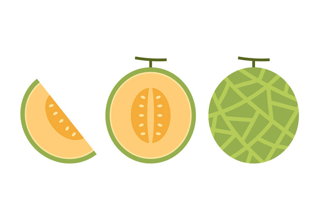 Vettore di meloni. melone su sfondo bianco. tappezzeria. design del logo.  - Vettoriali, immagini