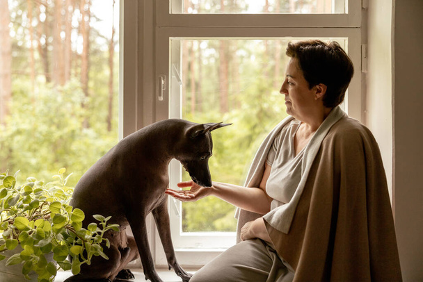 Middle age beautiful woman sitting on windowsill with her dog. 50-year-old woman spending time with her Mexican hairless dog at home. Xoloitzquintle, xolo breed. Dog as best friend, family member - Photo, image