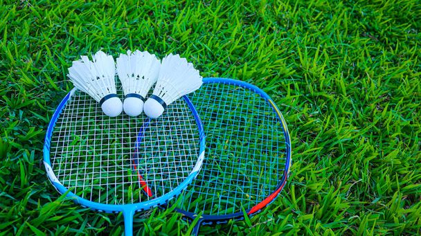Badminton shuttercocks on blue raquettes are on green field - Fotó, kép