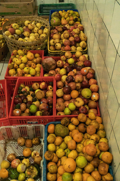 Various types of fruits such as oranges, apples, bananas, corn, watermelons, and many others are processed to feed primates in animal sanctuaries - Φωτογραφία, εικόνα