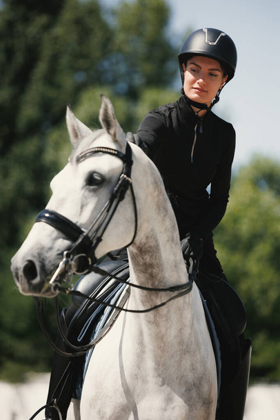 Portrait of young woman, female rider training at riding arena in summer day, outdoors. Dressage of horses. Horseback riding. Concept of sport, grace, ad, active lifestyle - Foto, immagini