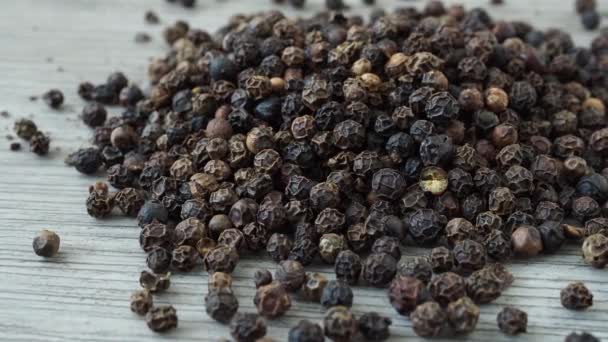 Peppercorn z rostliny černého pepře (Piper nigrum) - Záběry, video
